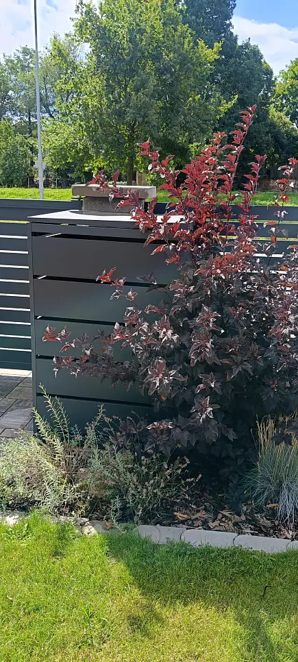 Boxy